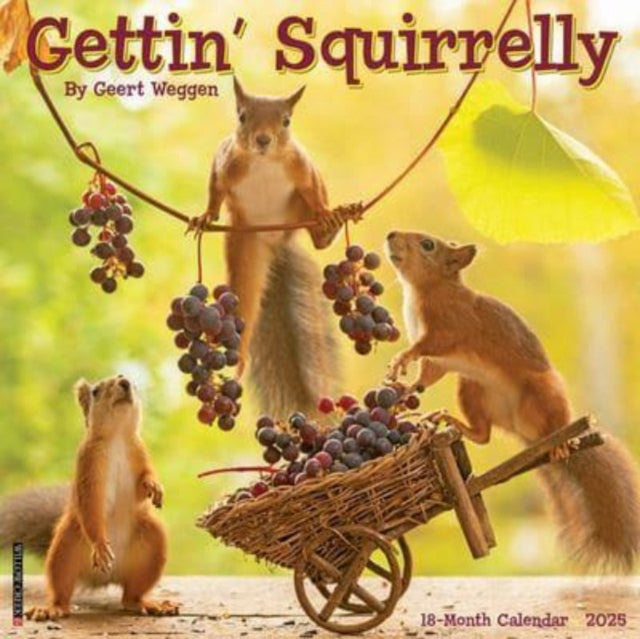 Gettin' Squirrelly 2025 12 X 12 Wall Calendar