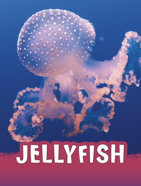 Jellyfish