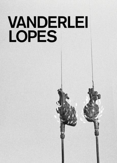 Vanderlei Lopes