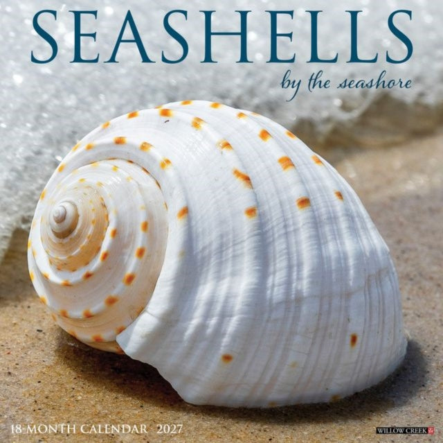 Seashells 2027 Wall