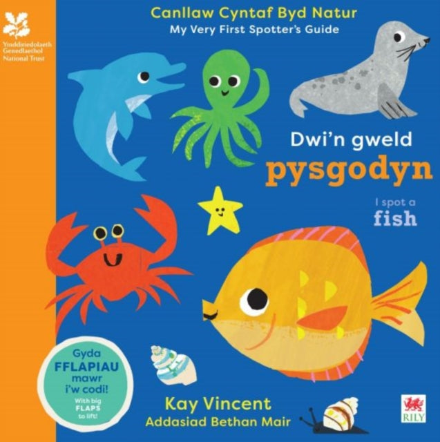 Dwi'n Gweld Pysgodyn / I Spot a Fish