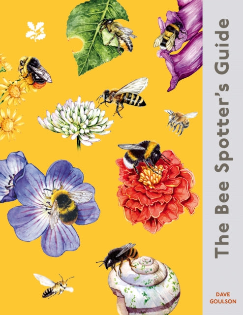 Bee-Spotter’s Guide