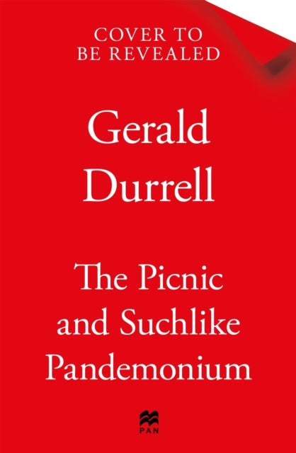 Picnic and Suchlike Pandemonium