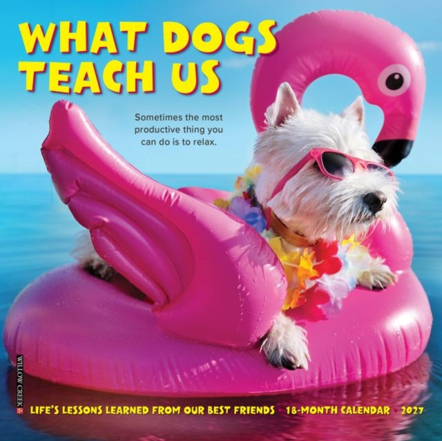 What Dogs Teach Us 2027 Mini