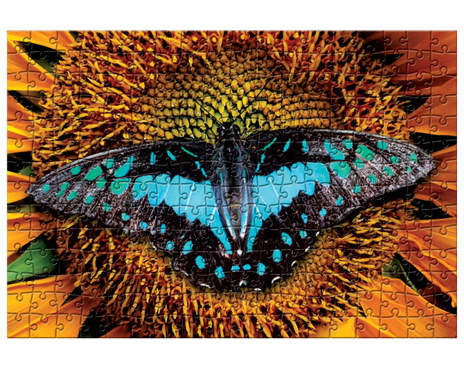 Puzzle Colorful Nature 2, 250 kosov