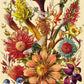 Puzzle Flowers 5, 1000 kosov