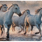 Puzzle Wild Horses 4, 1000 kosov