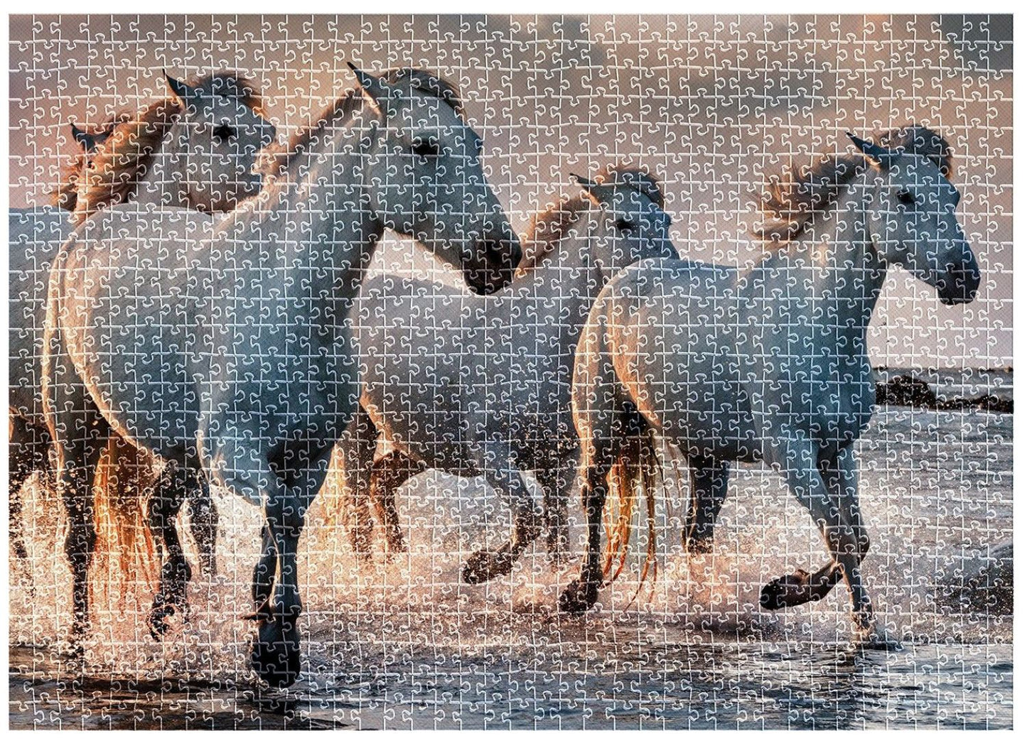 Puzzle Wild Horses 4, 1000 kosov