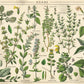 Puzzle Vintage Nature 1, 1000 kosov