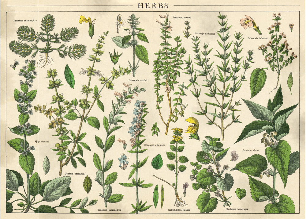 Puzzle Vintage Nature 1, 1000 kosov
