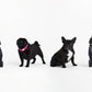 Nogavice Tiny Little Dogs, št. 35-38