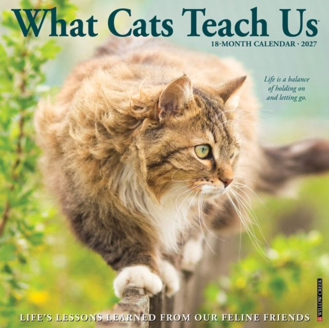 What Cats Teach Us 2027 Wall