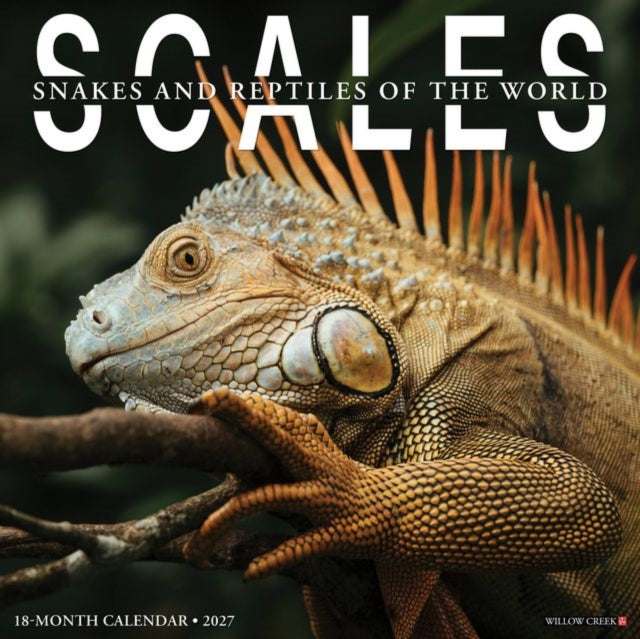 Scales 2027 Wall