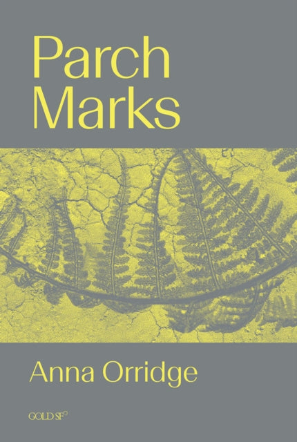 Parch Marks