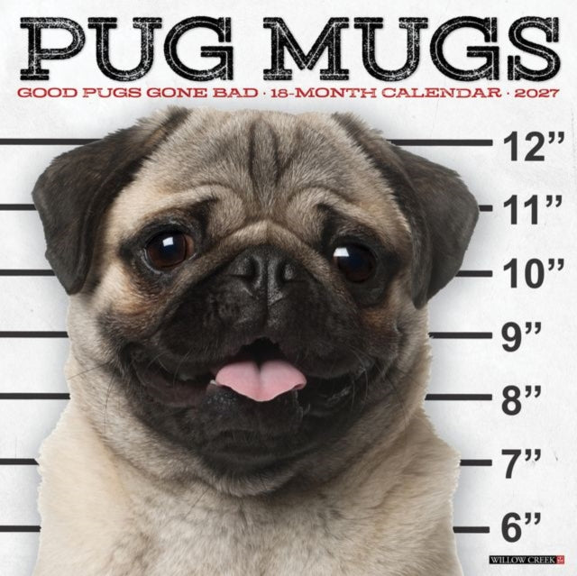 Pug Mugs 2027 Wall