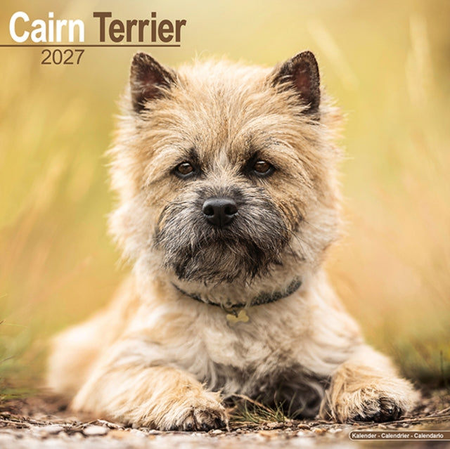 Cairn Terrier Wall