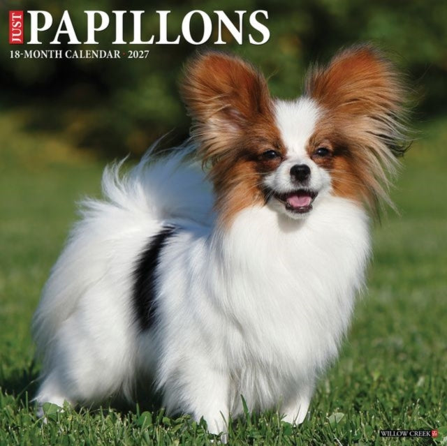 Papillons 2027 Wall