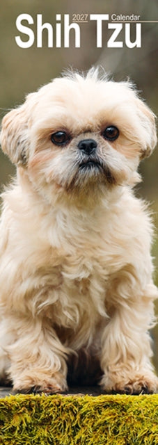 Shih Tzu Slim