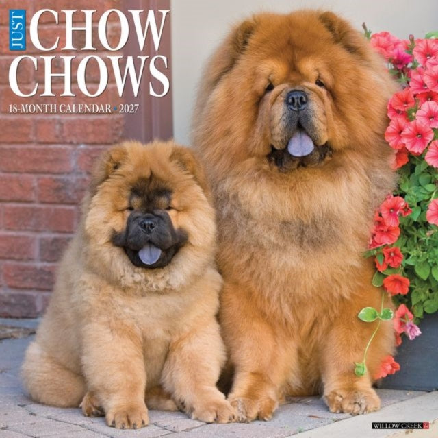 Chow Chows 2027 Wall