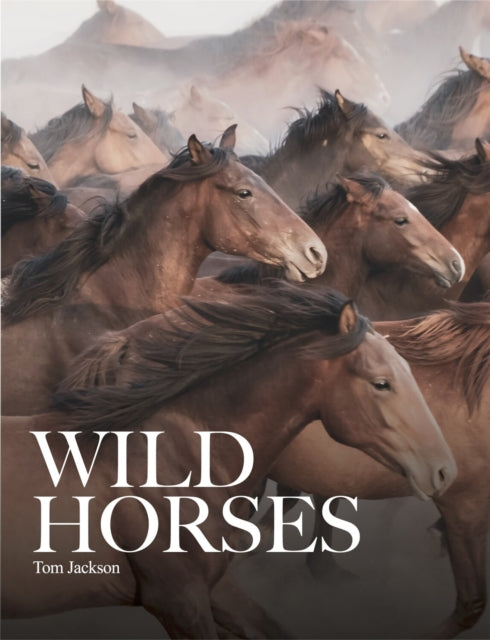 Wild Horses