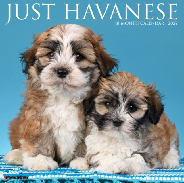 Havanese 2027 Wall