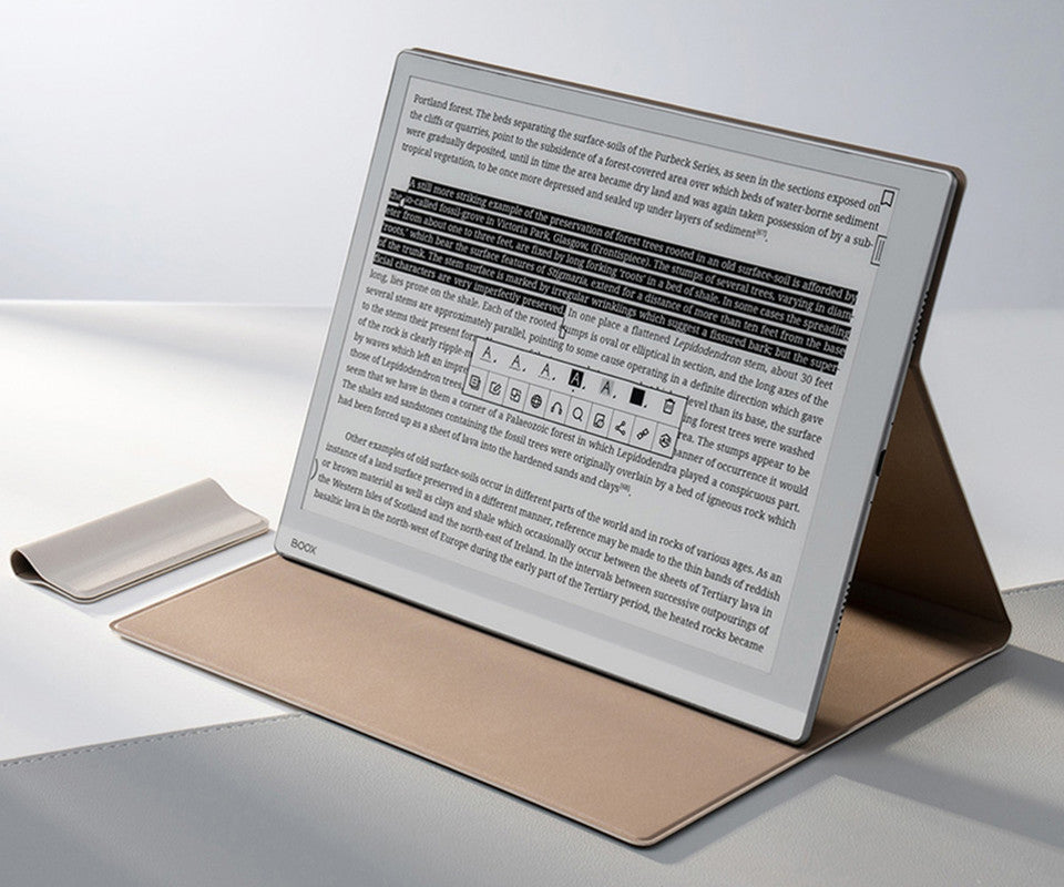 E-BRALNIK BOOX GO 10.3