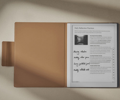 Ovitek magnetni, 10.3 BOOX TAB PRO GEN2-MOCHA