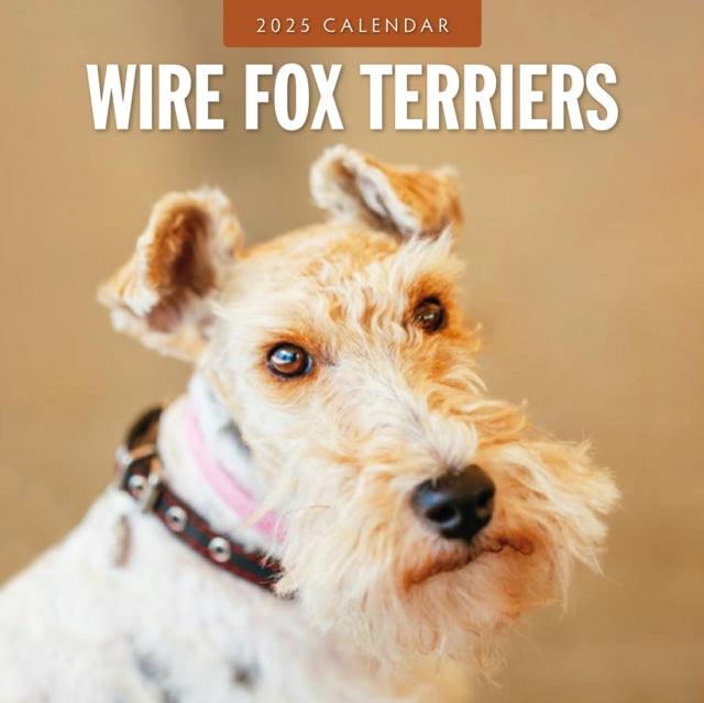 Wire Fox Terriers 2025 Square Wall Calendar