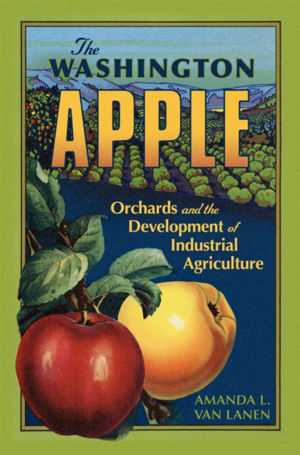 Washington Apple Volume 7