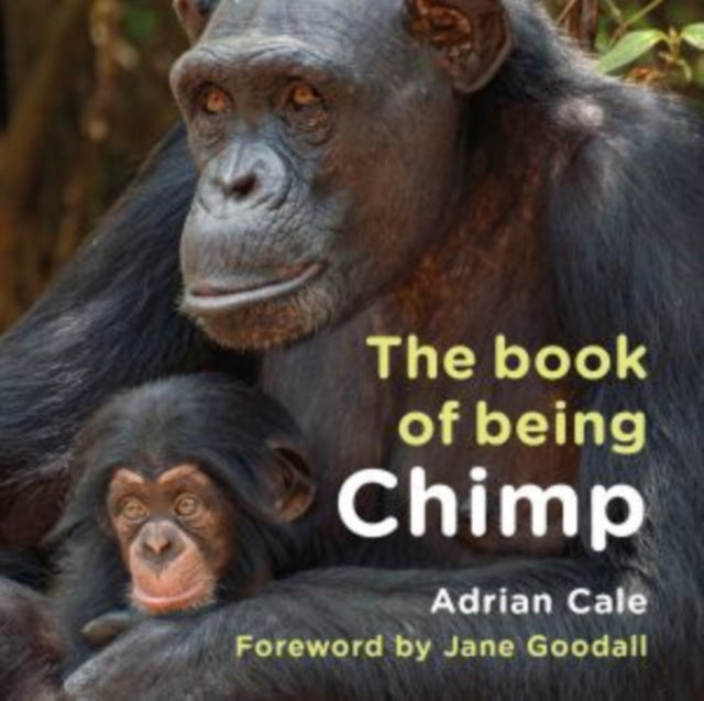 Book of Being Chimp