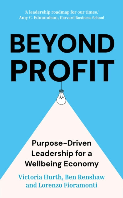Beyond Profit