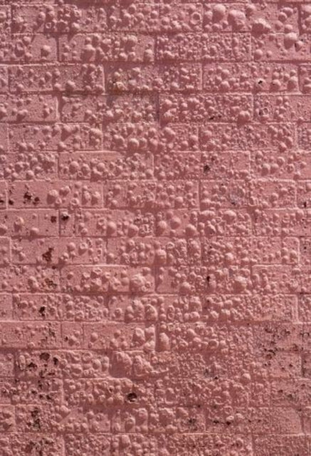 Californian Wildflowers