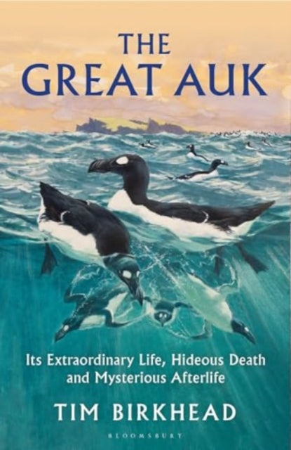 Great Auk
