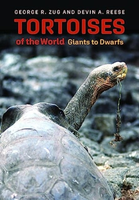 Tortoises of the World