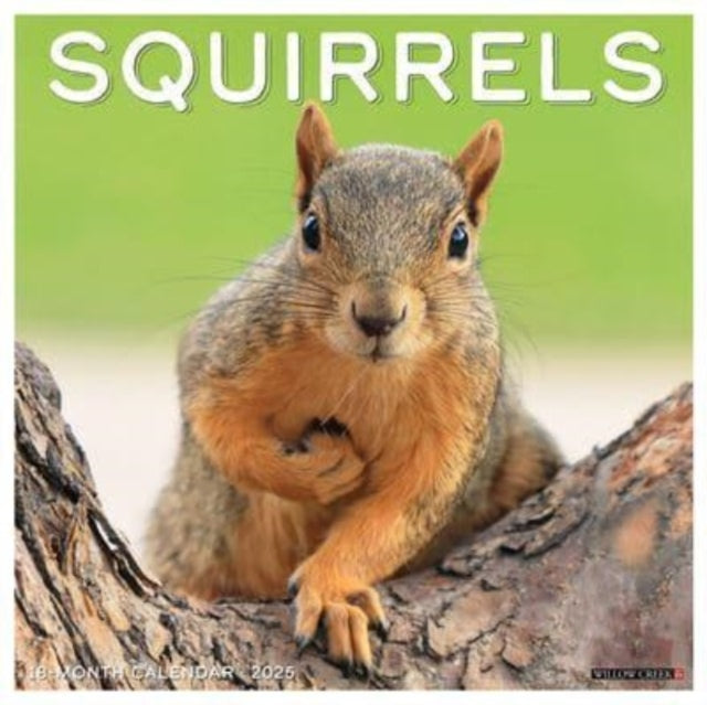 Squirrels 2025 12 X 12 Wall Calendar