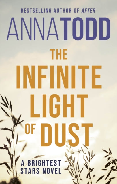 Infinite Light of Dust