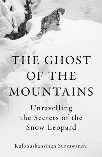 Ghost of the Mountains