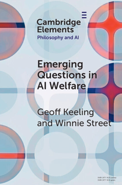Emerging Questions in AI Welfare