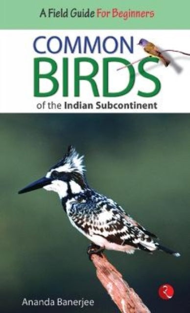 Common Birds of the Indian Subcontinent