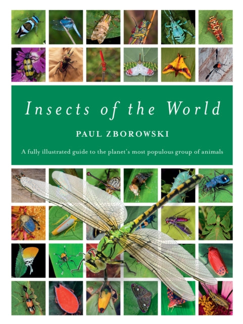 Insects of the World