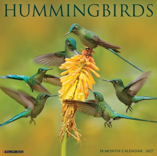 Hummingbirds 2027 Wall