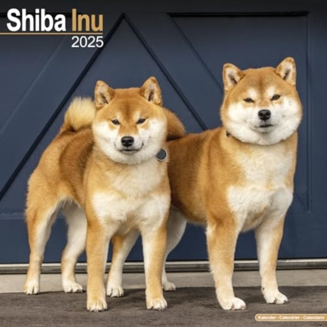 Shiba Inu Calendar 2025  Square Dog Breed Wall Calendar - 16 Month