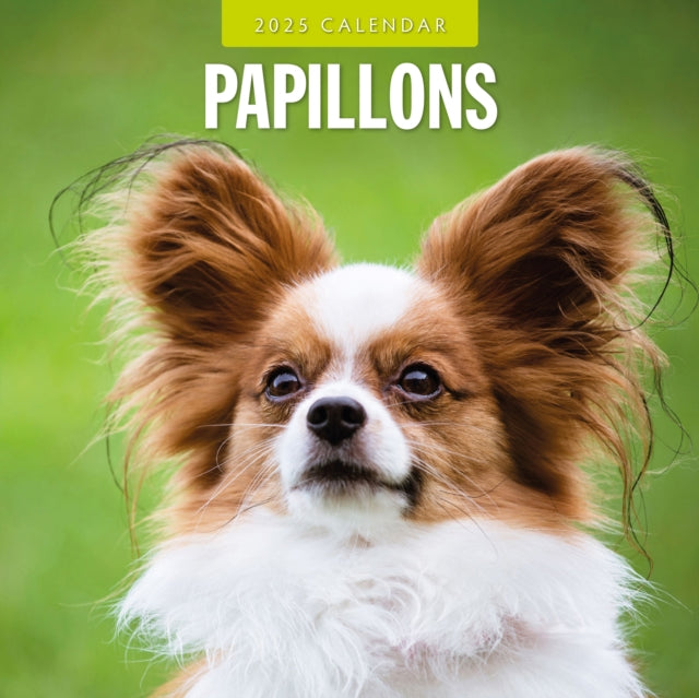 Papillions 2025 Square Wall Calendar