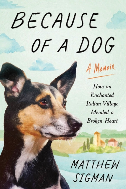 Because of a Dog