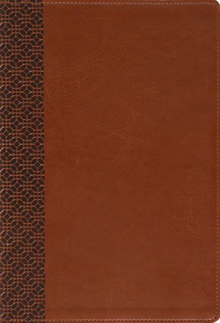 Amplified Holy Bible, Large Print, Leathersoft, Brown