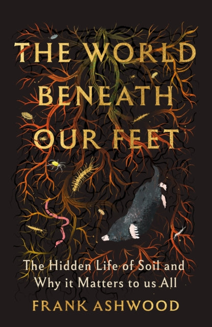 World Beneath Our Feet