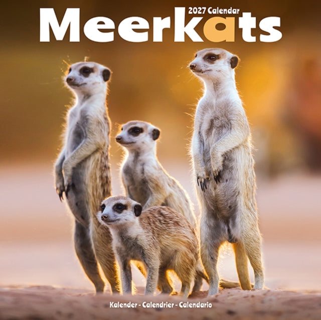 Meerkats SS Wall