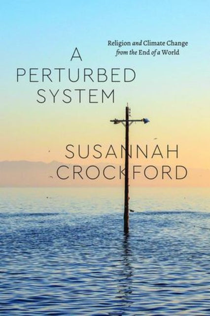Perturbed System