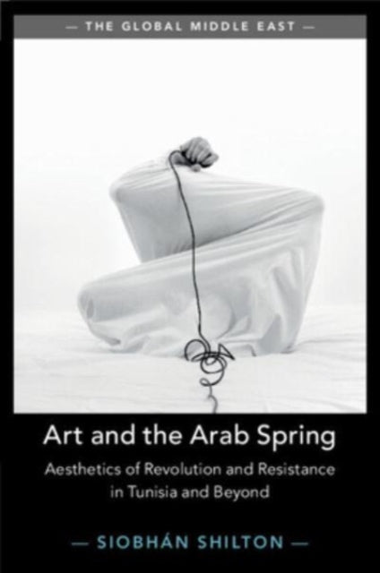 Art and the Arab Spring