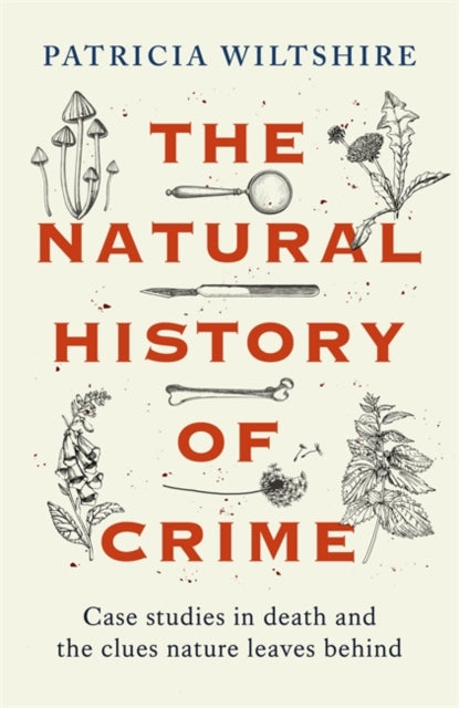 Natural History of Crime